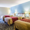 Отель Econo Lodge Darien, фото 4