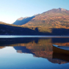 Отель Wing Creek Resort, фото 15