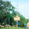 Отель Yulou Homestay (Yaowan Scenic Area), фото 13