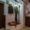 Отель The Olive Tree, фото 28