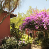 Отель Le Palme Garden, фото 18