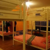 Отель Best Bunk Beds Lodge, фото 15