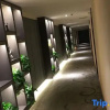 Отель Bayi Hotel, фото 13
