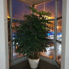 Отель Ancona Center Hotel, фото 17
