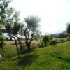 Отель Samothraki Beach Apartment & Suites Hotel, фото 38