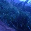 Отель Ella Paddy Field View Guest Inn, фото 11