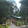 Отель Borneo Nature Lodge, фото 17