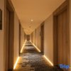 Отель Baili Hotel Jiangmen Baiyi, фото 16