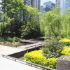 Отель City Life Service Apartment- Xiang Mei Garden, фото 7