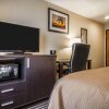 Отель Quality Inn & Suites, фото 28
