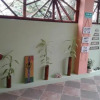 Отель Hostal Casa Taisha, фото 15