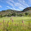 Отель Panorama Cottages, фото 30