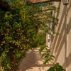 Отель Le Dimore di Budoni (BUD282), фото 17