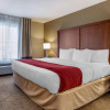 Отель Comfort Inn & Suites Russellville I-40, фото 7