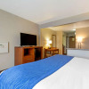 Отель Comfort Inn South, фото 6