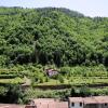 Отель Panoramic Apartment with Balcony and Terrace, фото 6