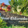 Отель Eldorado K203 in Lahaina, фото 42