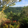 Отель Villa Indah Ubud, фото 8