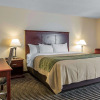 Отель Comfort Inn Birmingham - Irondale, фото 2