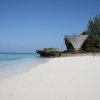 Отель Chumbe Island Coral Park, фото 24