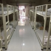Отель Phi Phi Viva Guesthouse - Hostel, фото 14