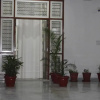 Отель OYO 85590 Choudhary White House, фото 1