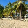 Отель Charming 2-bed Apartment in Holetown.sunset Crest, фото 11