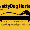 Отель NattyDog Hostel в Будапеште