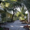 Отель Bungalows Los Escullos, фото 13