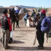 Отель Dar Ait Hmid Zagora, фото 23