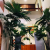 Отель Sol de Selva Hostal, фото 16