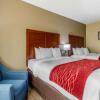 Отель Comfort Inn & Suites, фото 6