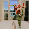 Отель Holiday Home Lovište, фото 31