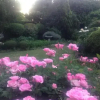Отель Rutland Guest House, фото 15