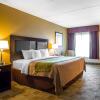 Отель Comfort Inn Warner Robins - Robins Air Force Base Area, фото 23