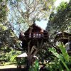 Отель Art Jungle Eco Lodge, фото 35