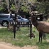 Отель Estes Lake Lodge, фото 46