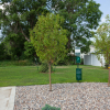 Отель Candlewood Suites Dickinson ND, an IHG Hotel, фото 15