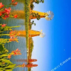 Отель Binhaiwan Mountain Resort, фото 5