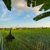 Отель Sotis Villa Canggu, фото 20