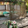 Отель Leaf House Bungalow - Hostel, фото 1