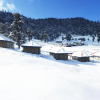 Отель Chopta Mount Holiday Camp & Resort, фото 14