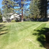 Отель Minutes From Heavenly Valley & Lake Tahoe Beaches, фото 6