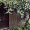 Отель Olympos Mercan Bungalow, фото 2