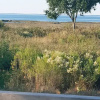 Отель Le Pilotis, фото 33