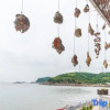 Отель Shengsi Yacht Bay Seaview Homestay, фото 12