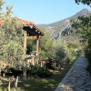 Отель Bahaus Resort, фото 15