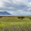 Отель Sea Ranch 96, фото 11
