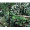 Отель Fern Paradise, фото 8