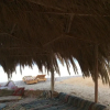 Отель Fayrouz Beach Camp, фото 11